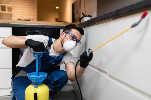 Best Bed Bug Extermination  in Hagerstown, MD