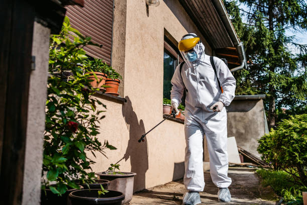 Best Spider Control Near Me  in Hagerstown, MD