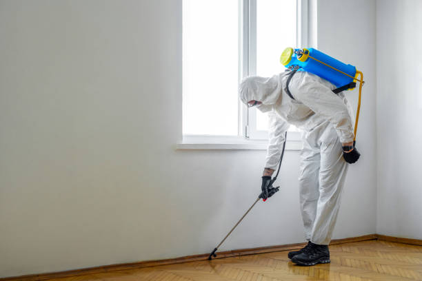 Best Affordable Pest Control Services  in Hagerstown, MD