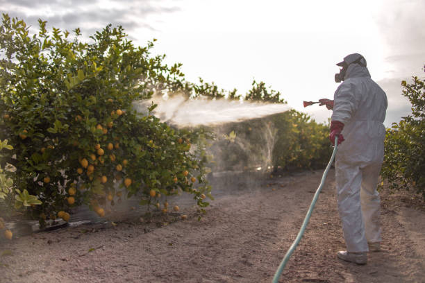 Best Insect Control  in Hagerstown, MD